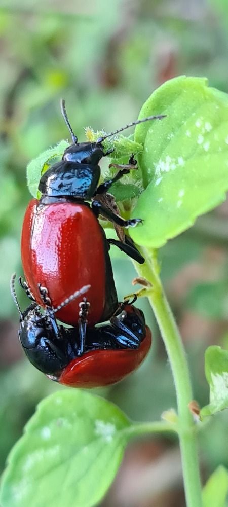 Photograph by Nadzeya