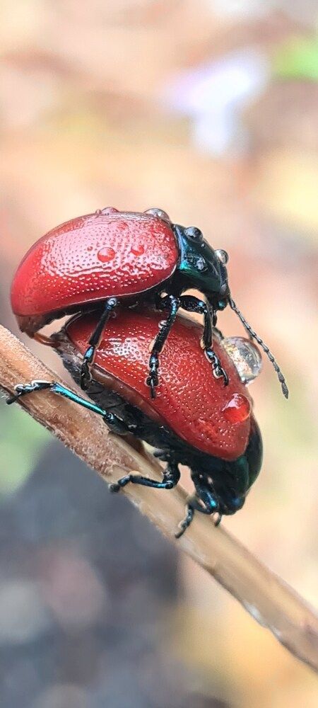 Photograph by Nadzeya