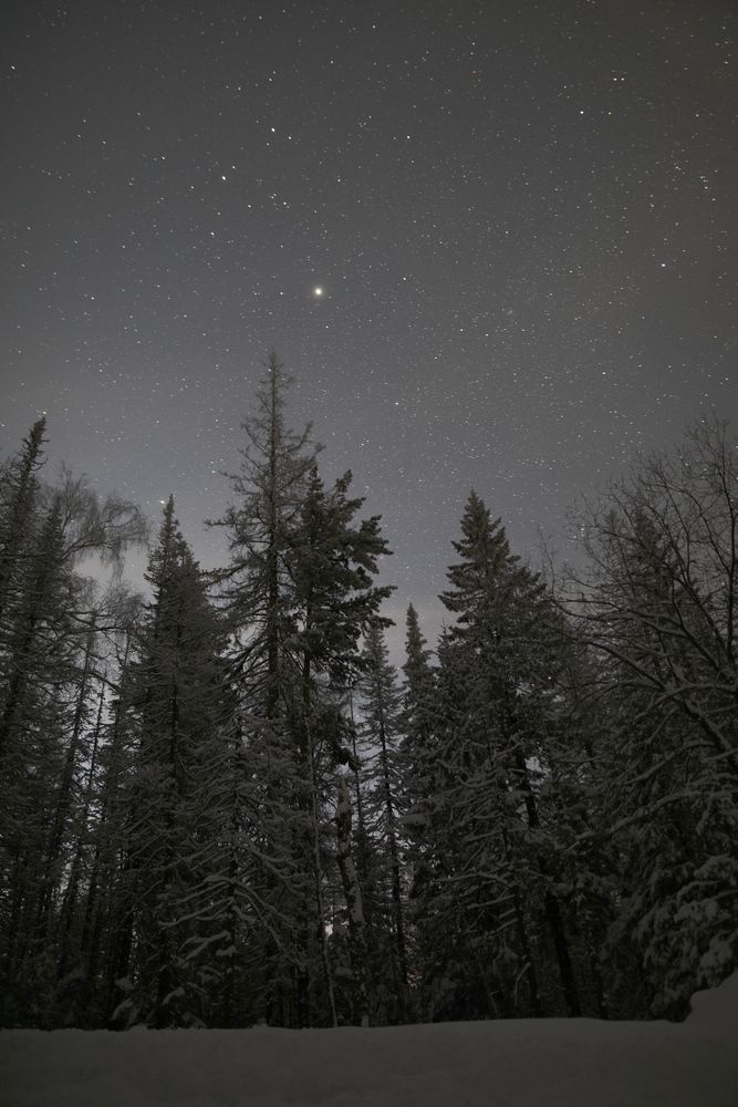 Photograph by Максим Ташкинов