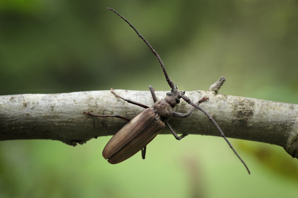 Photograph by Юлианна Митрофанова