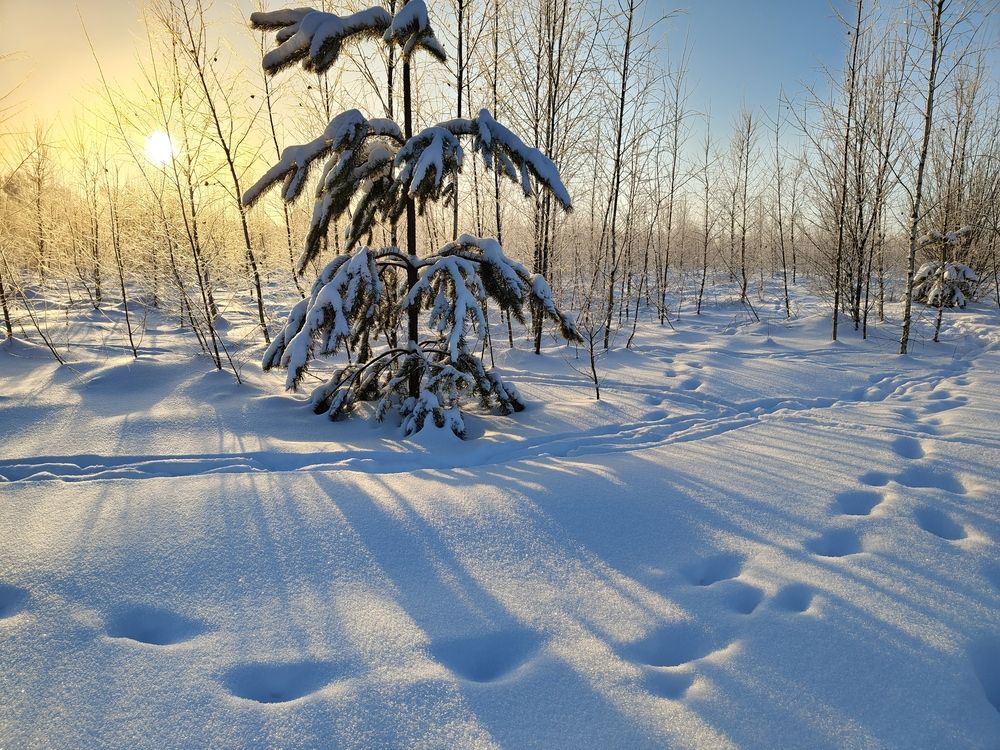 Photograph by Кондрашова Светлана