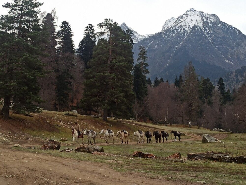 Photograph by Людмила Фурсова