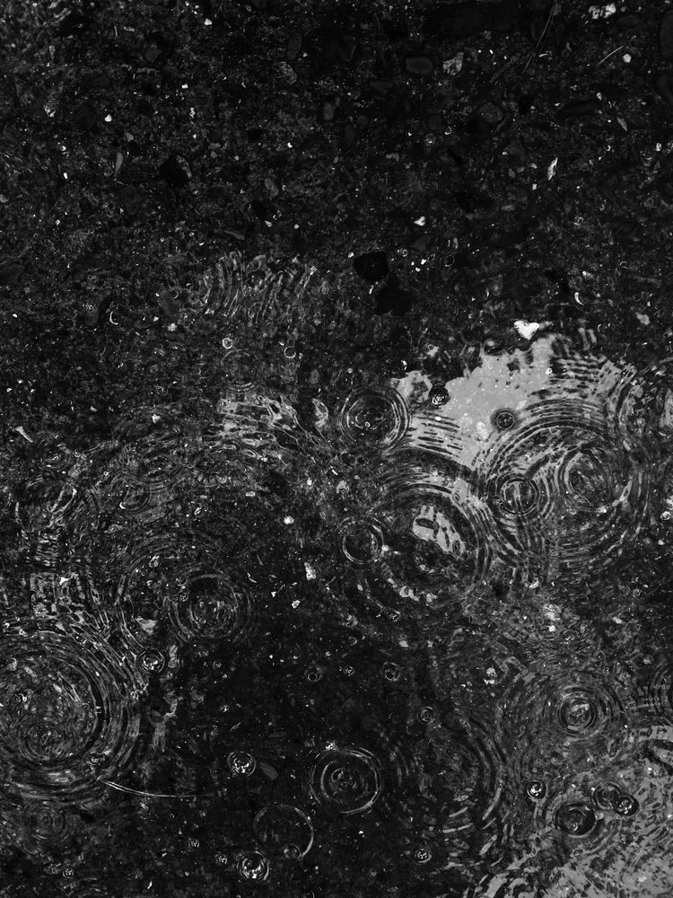 Photograph by Маргарита Евсеева