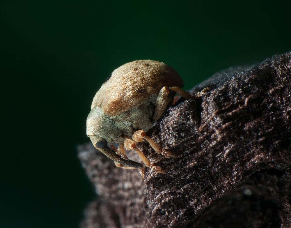 Photograph by Юлианна Митрофанова