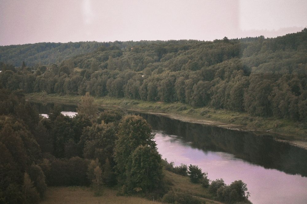 Photograph by Elvira