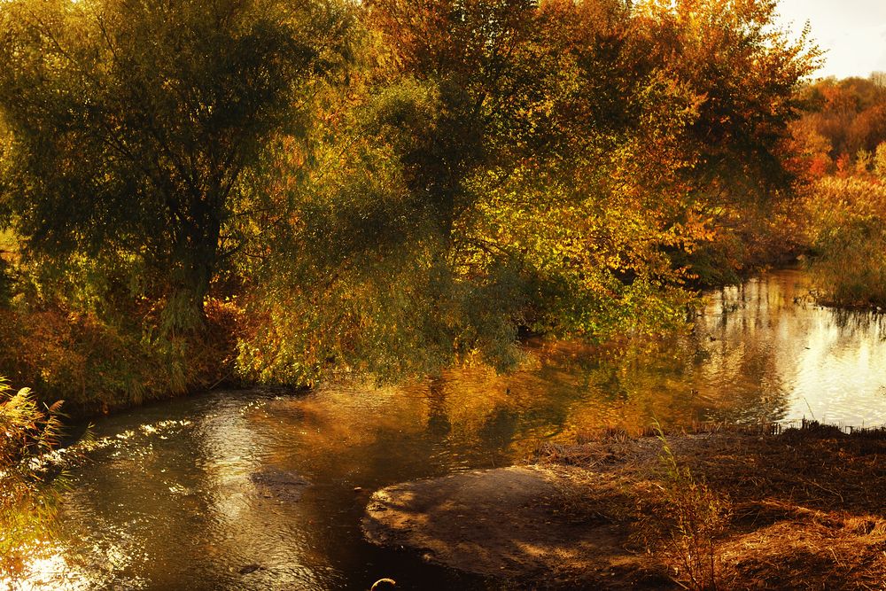 Photograph by Сергей Иваненко