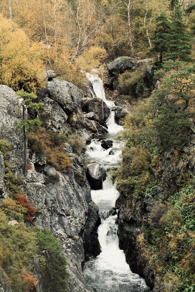 Фотография автора Леонид Голубков