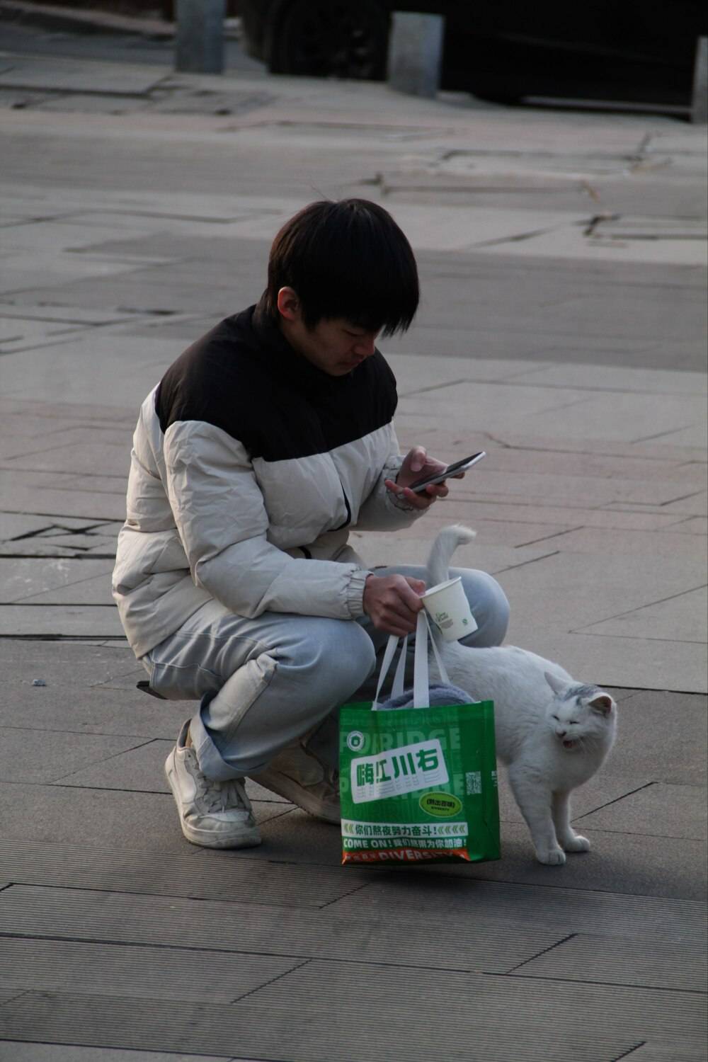 Photo #13340854