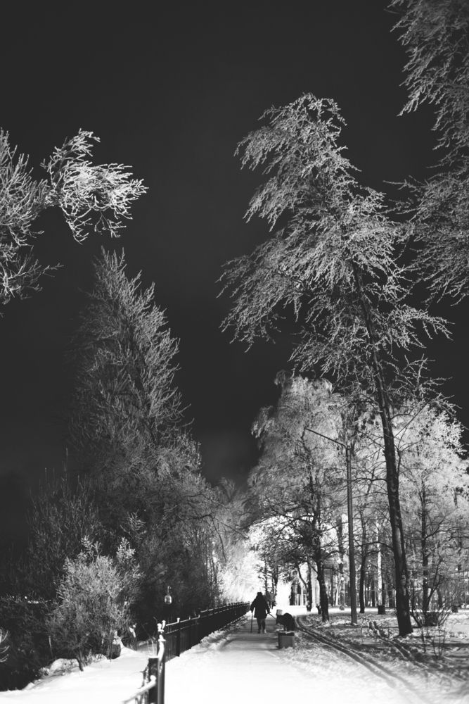 Photograph by Сергей Зимин
