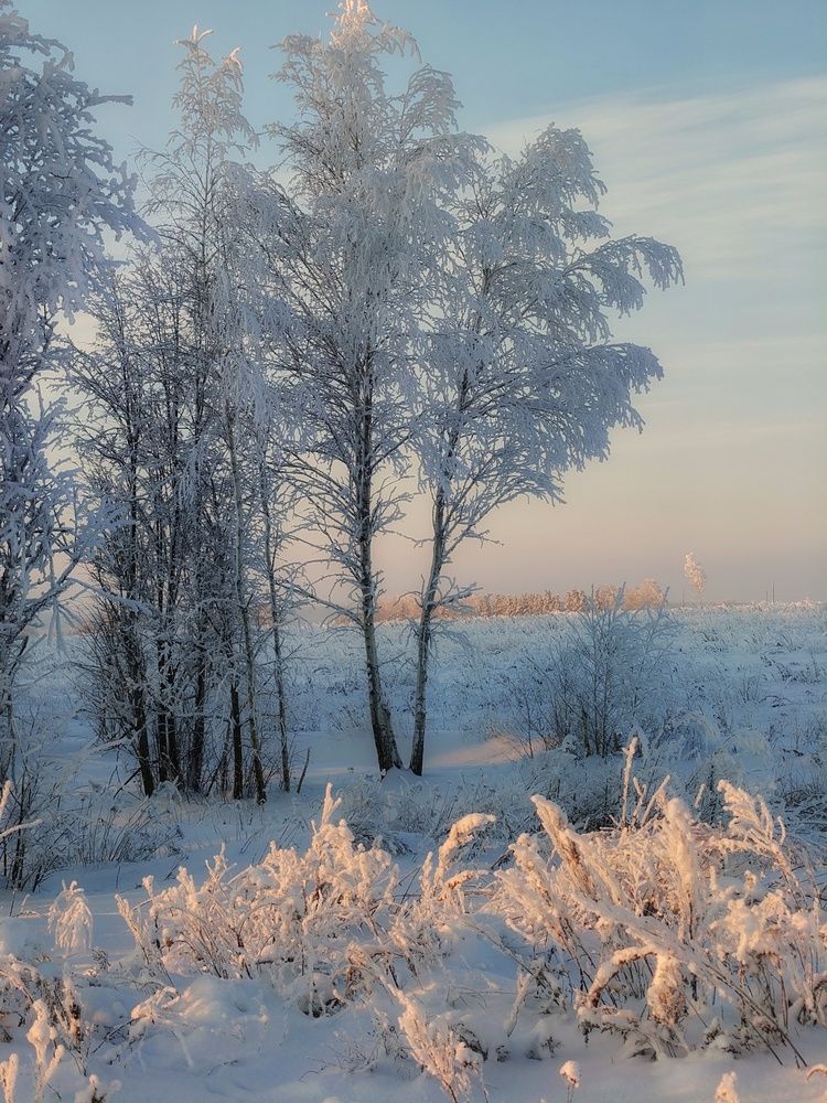 Photograph by Кондрашова Светлана
