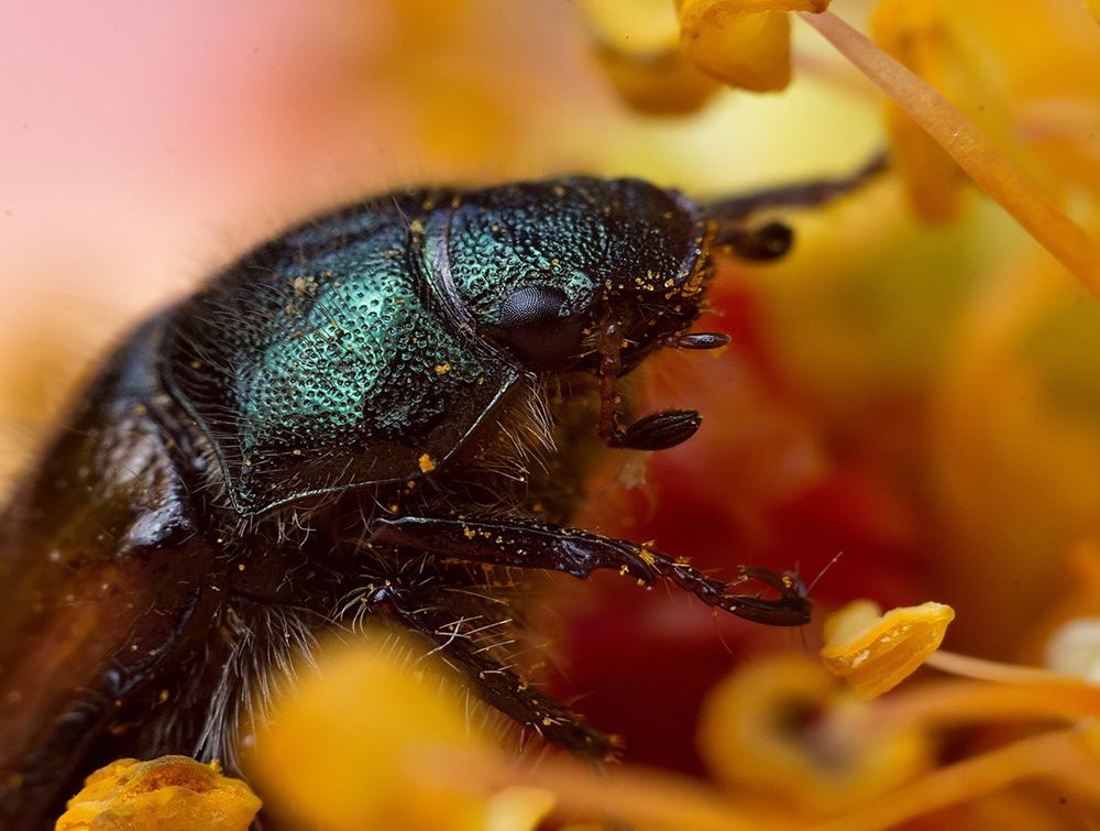 Photograph by Борис Журавлёв