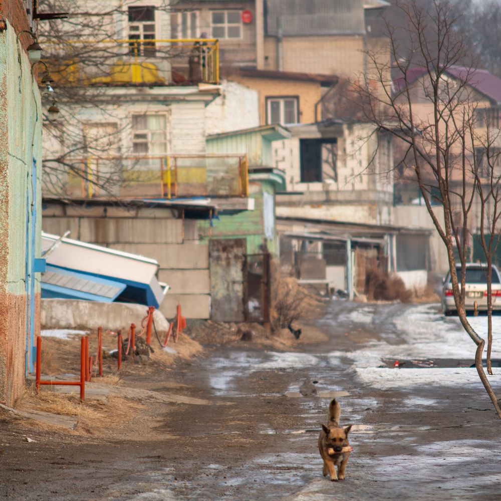 Photograph by Ирина