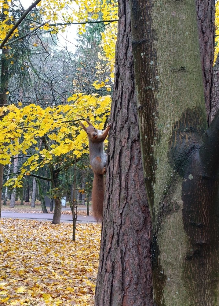 Photograph by Екатерина Супраненок