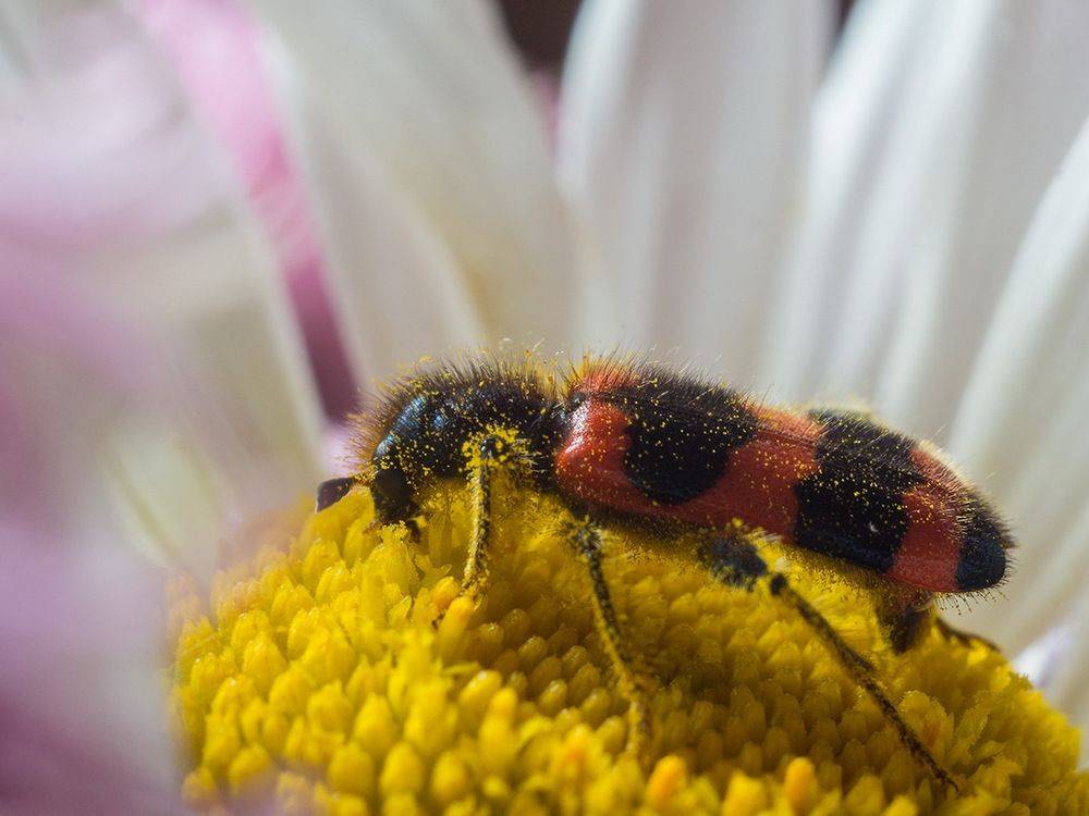 Photograph by Борис Журавлёв