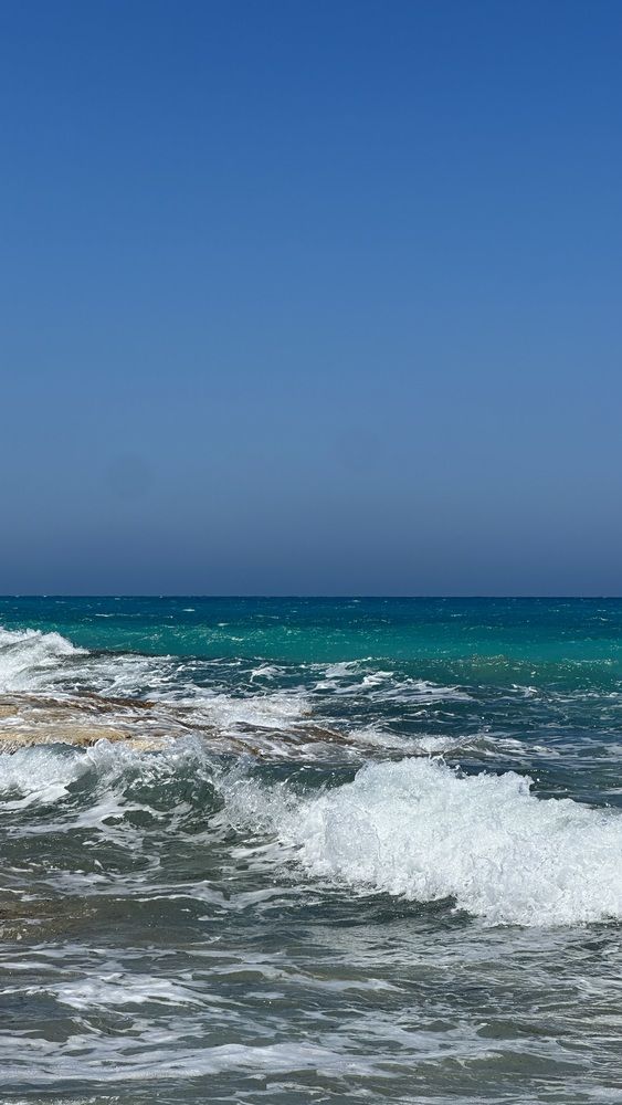 Photograph by Rowan Shalaby