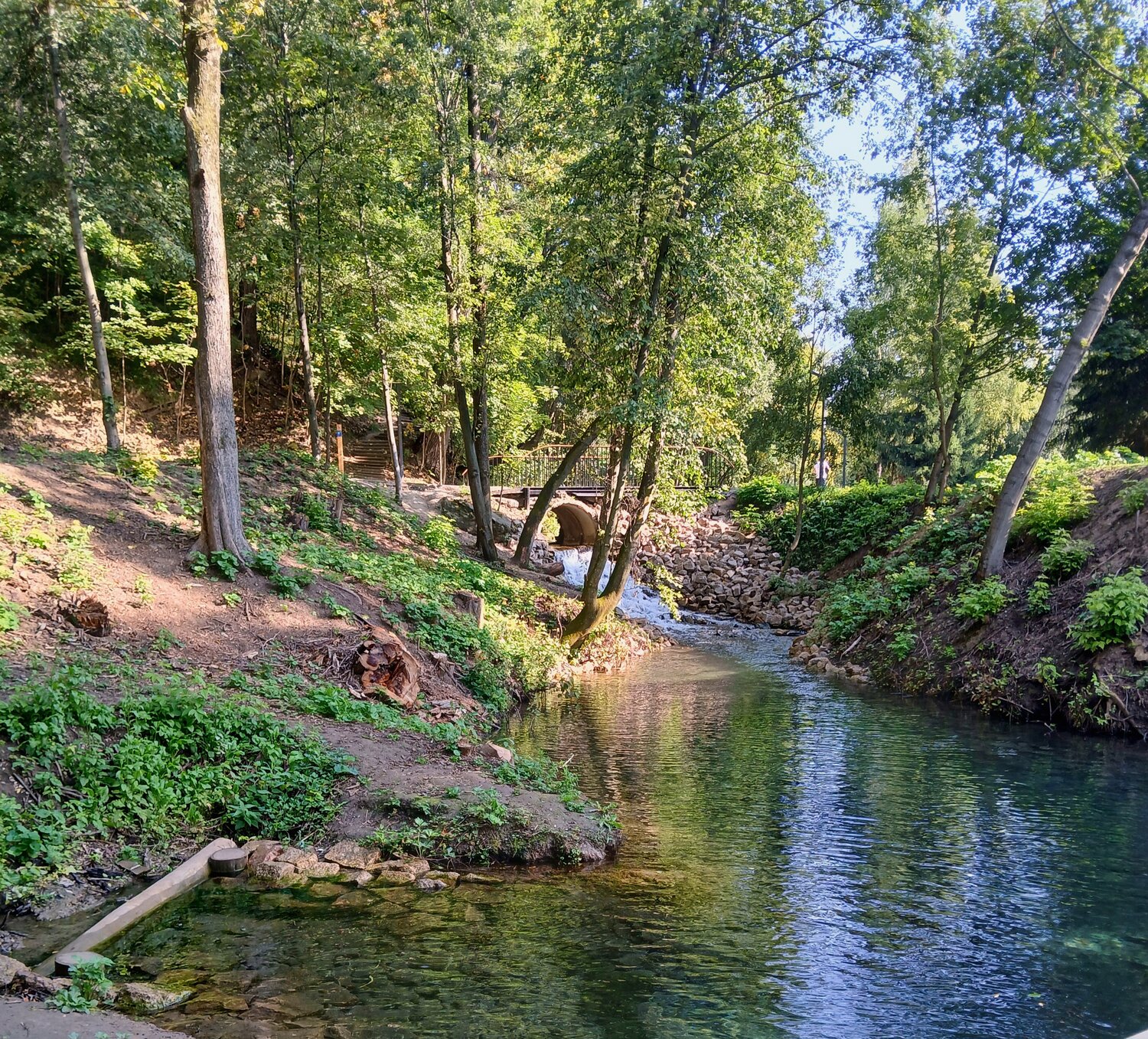 Photo #13341060