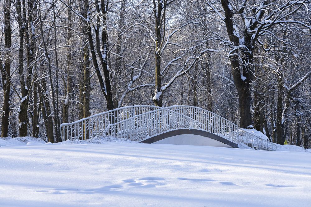Фотография автора Вадим Копилец