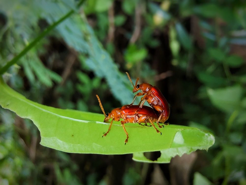 Фотография автора Bustamante Molina
