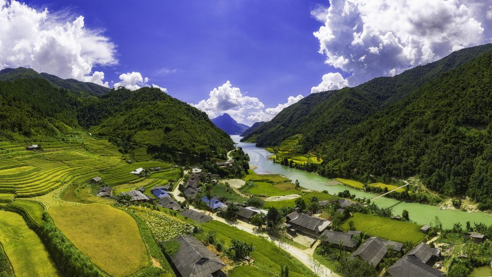 Vietnam’s Hidden Paradise: The Ripening Rice Season