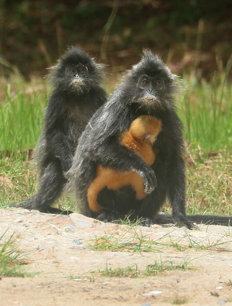 Photograph by Yuli Seperi