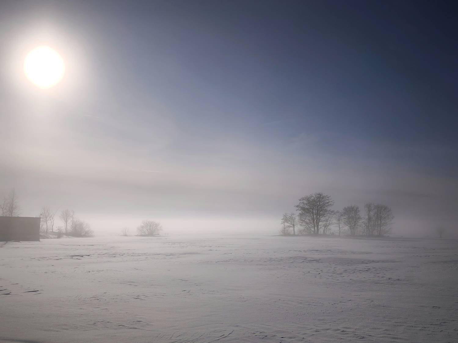 Photo #13341183