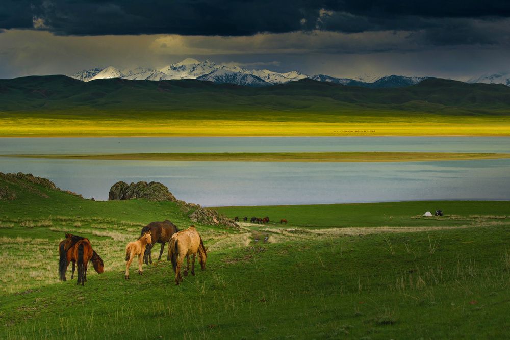 Photograph by Алексей Кретов