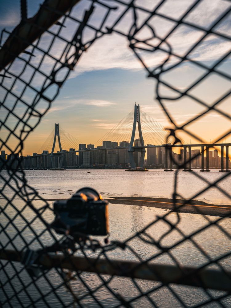 A city trapped in the web