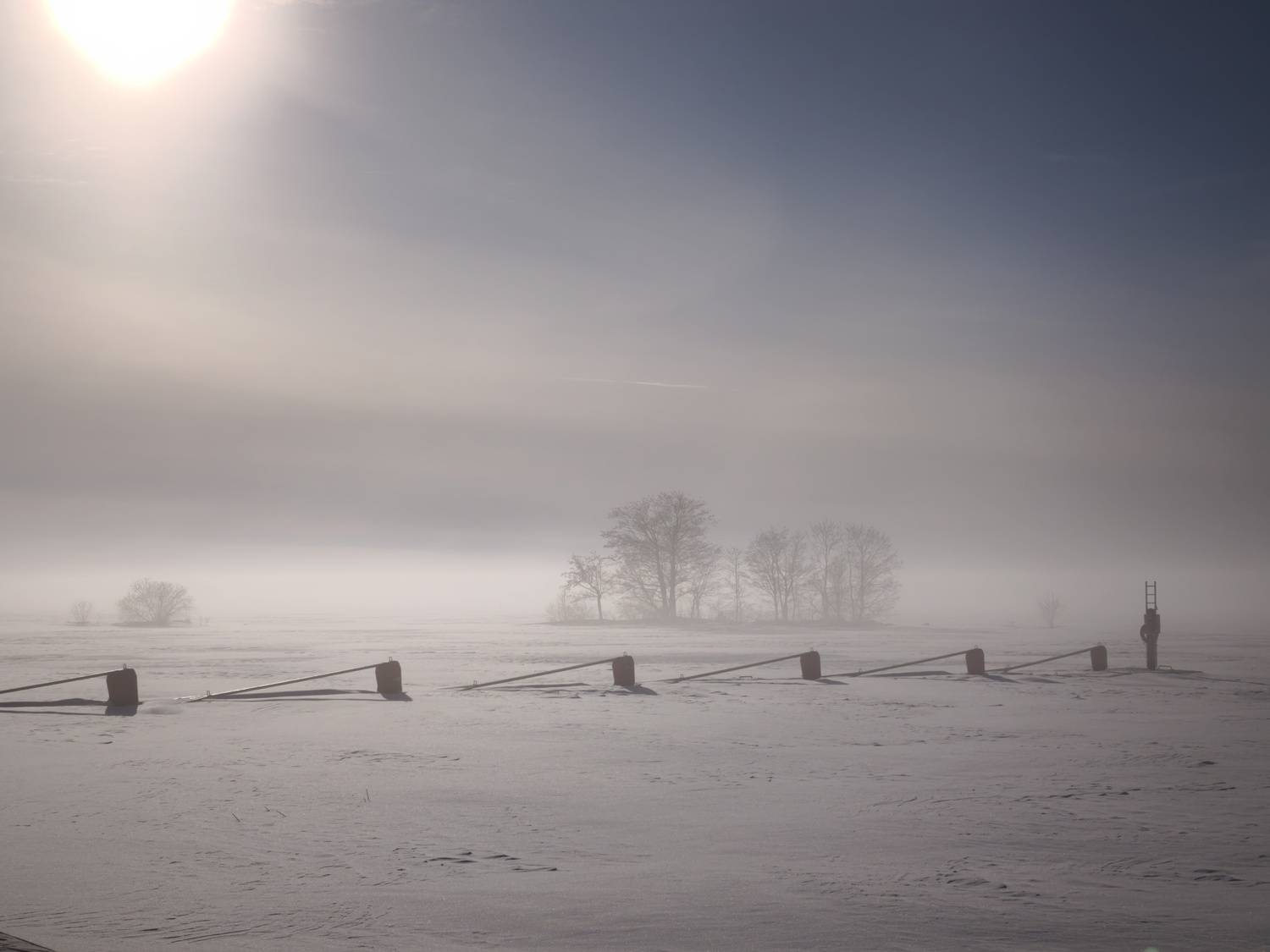 Photo #13341205