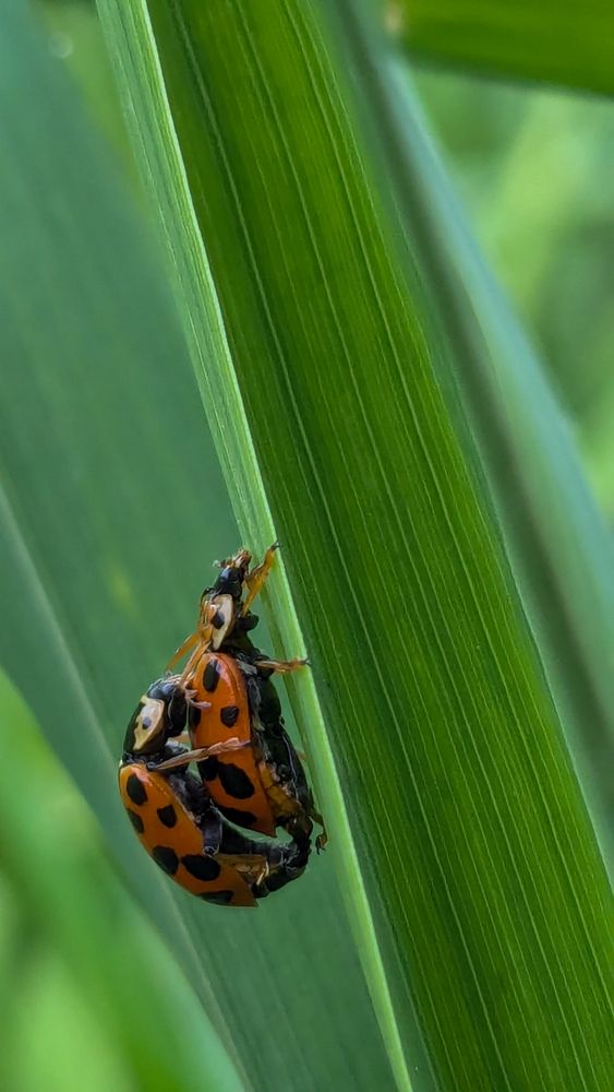 Photograph by Ольга Тимофеева