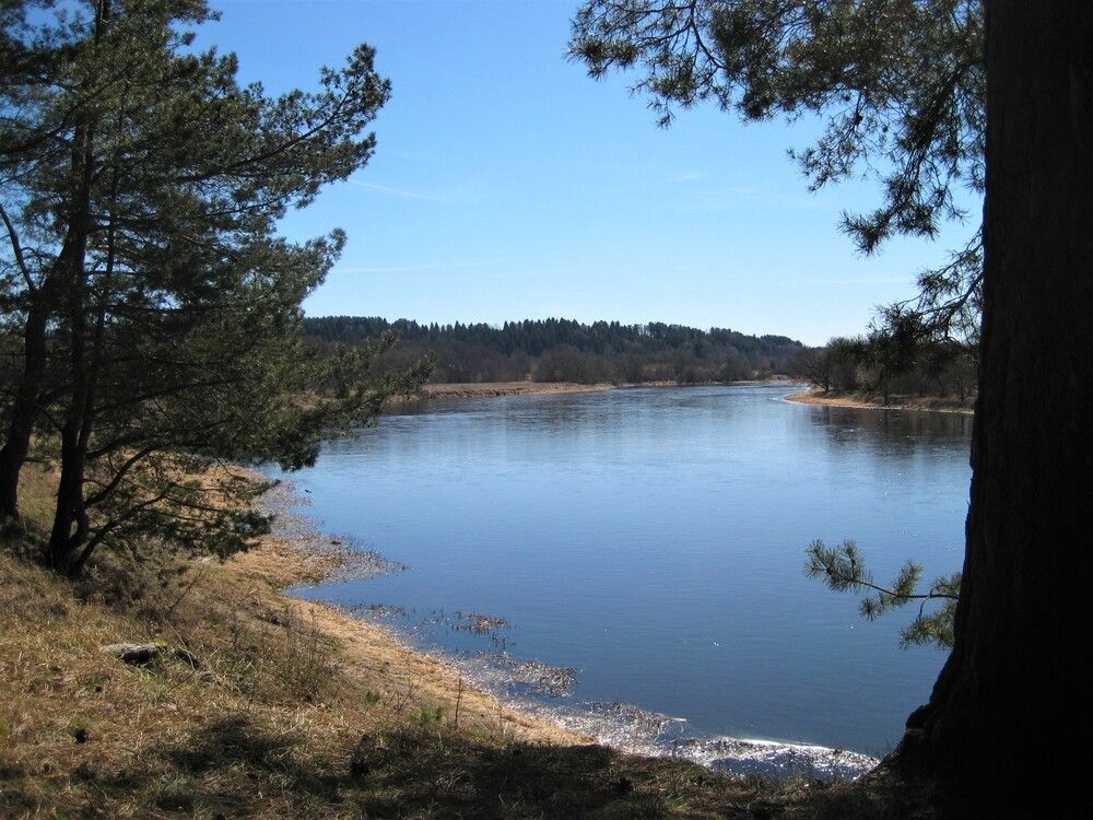 Photo #13341286