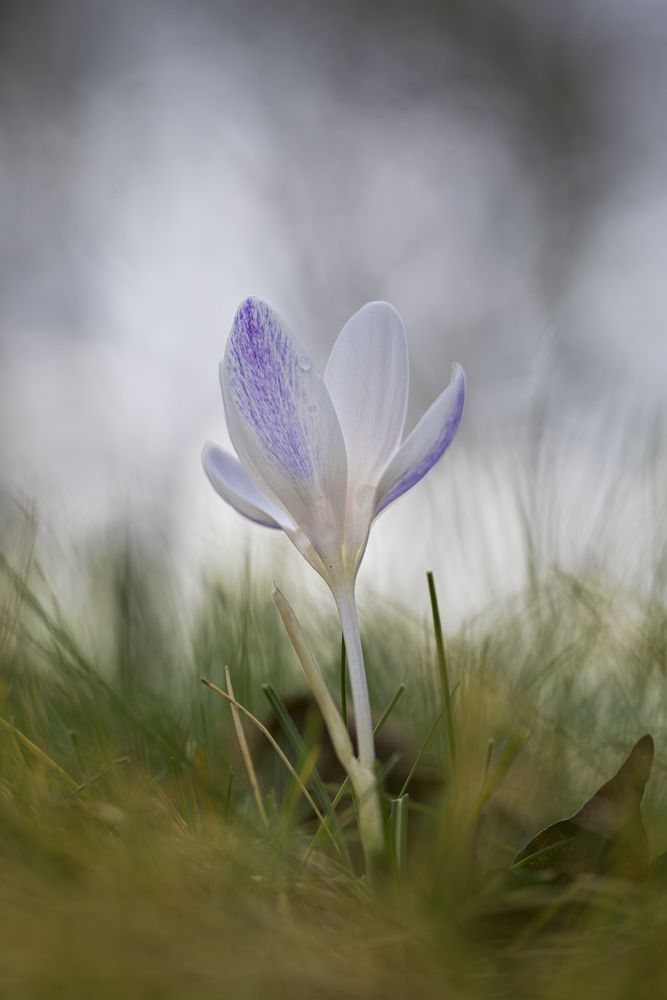 Photograph by Camilla Zocchi