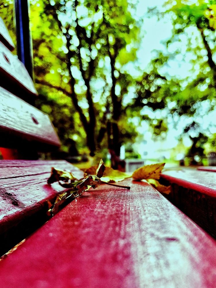 Melancolia