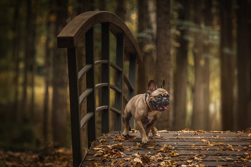 Photograph by Елена Самусенкова