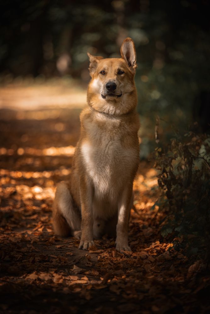 Photograph by Елена Самусенкова