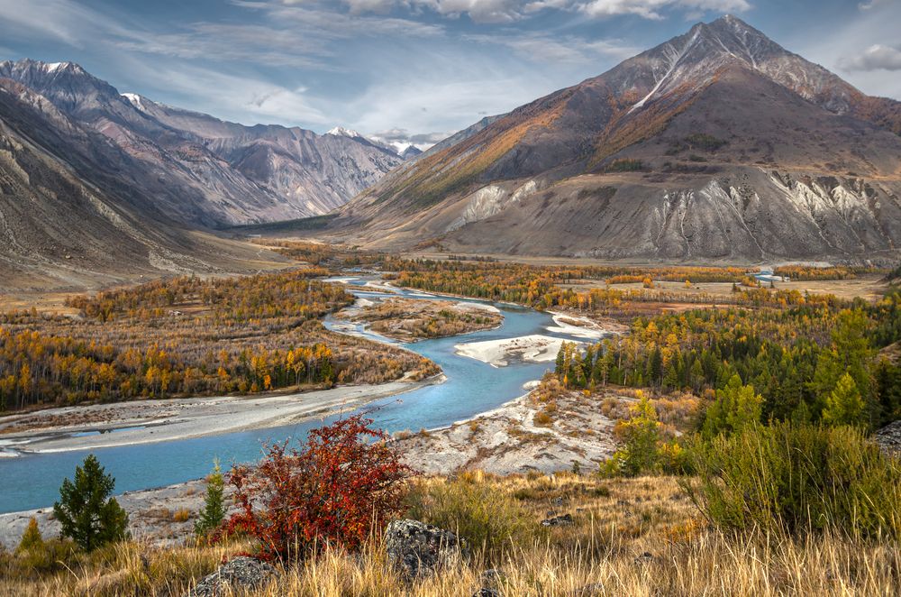 Photograph by Mark Devender