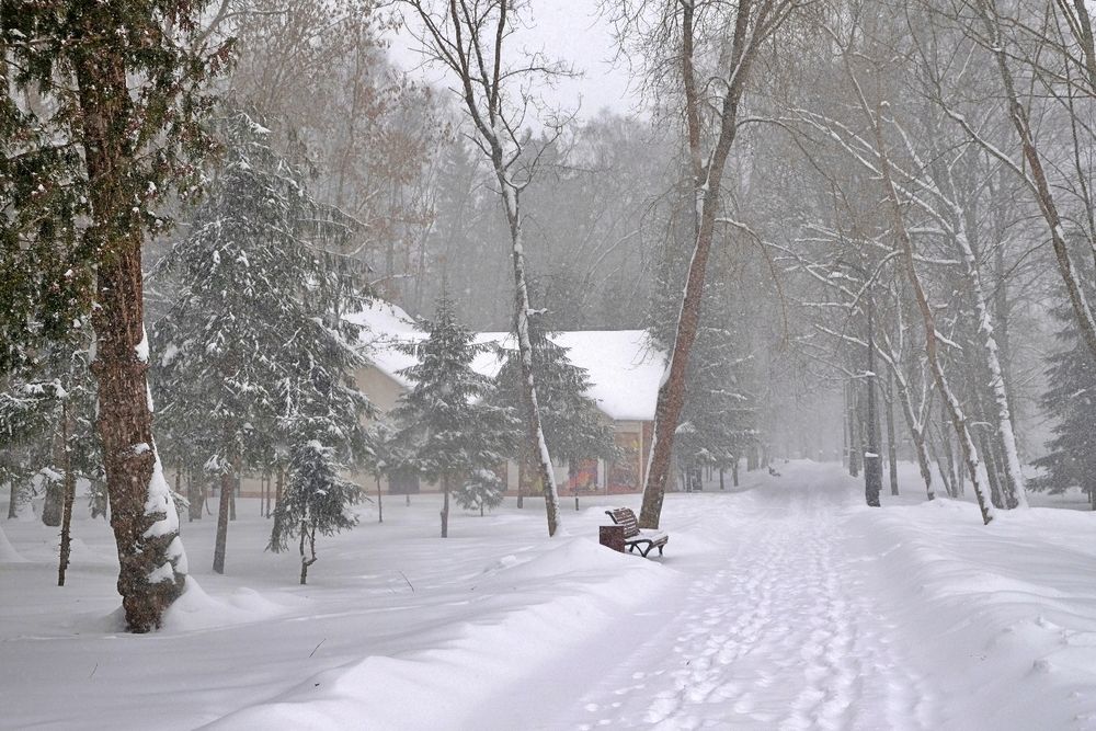 Метель