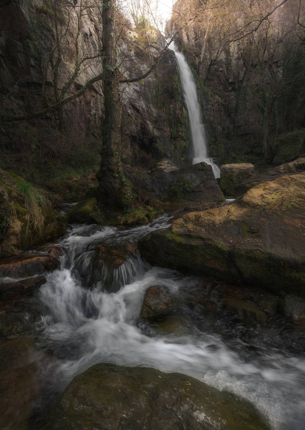 Фотография #13341538