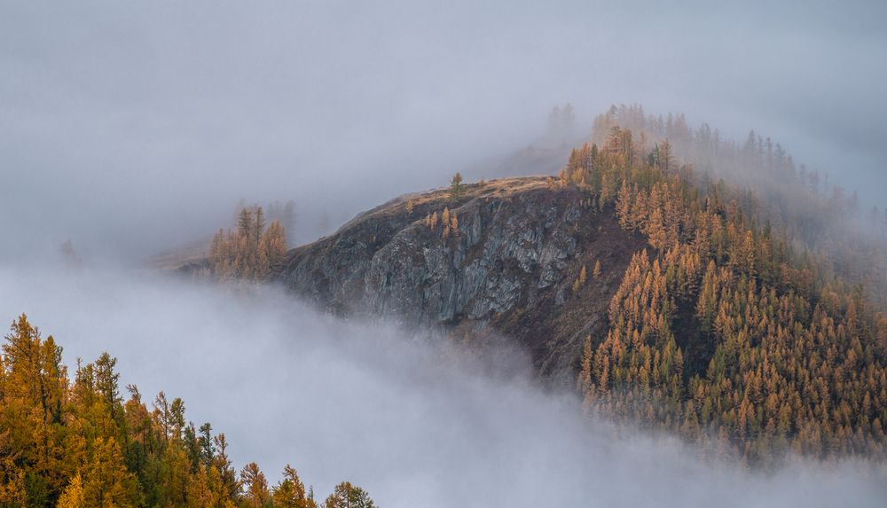 Photograph by Mark Devender