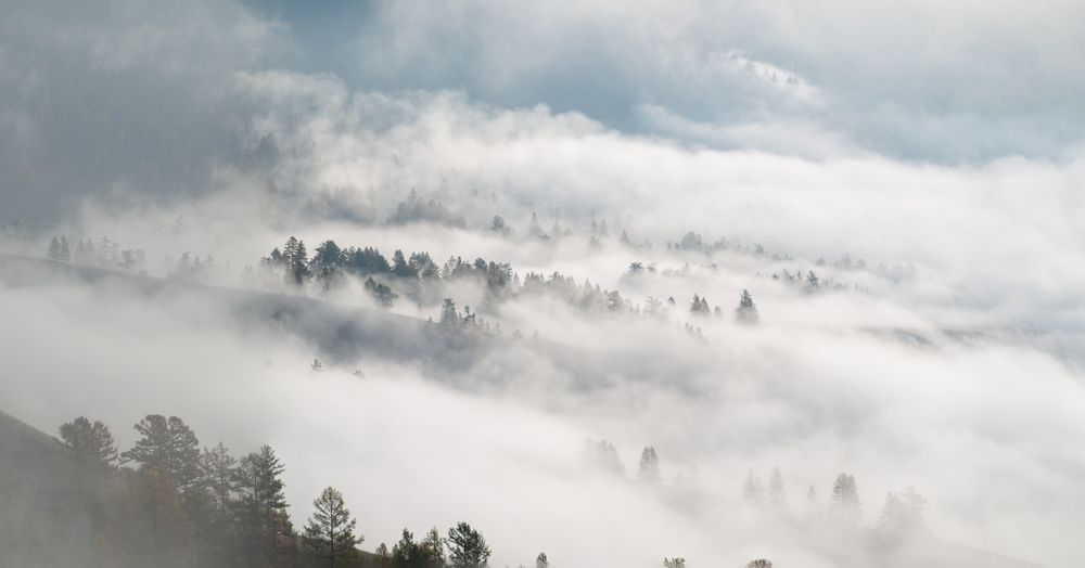 Photograph by Mark Devender