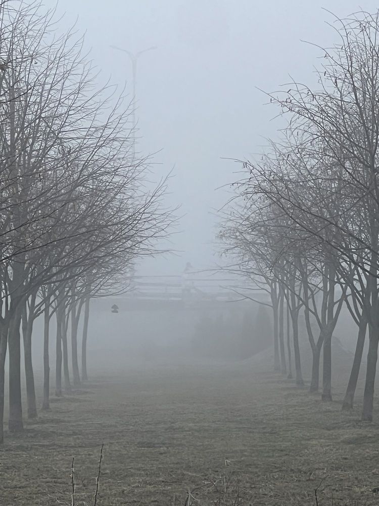 Photograph by Татьяна Чурикова