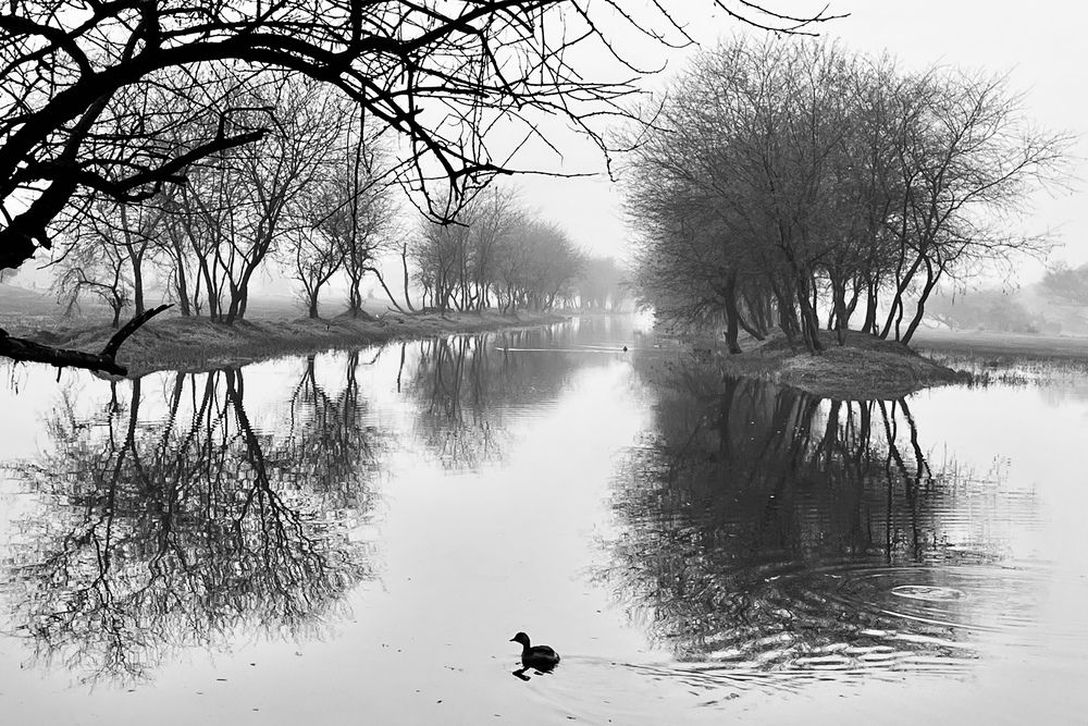 Фотография автора BIPLAB MISRA