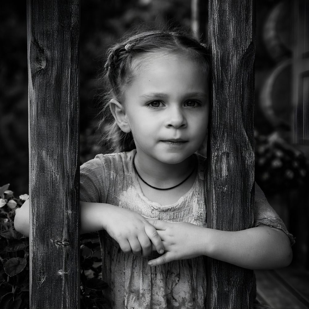 Фотография автора Alexander Shilov