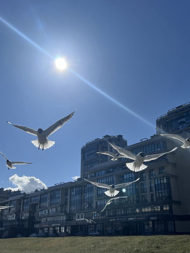 Photograph by Татьяна Чурикова