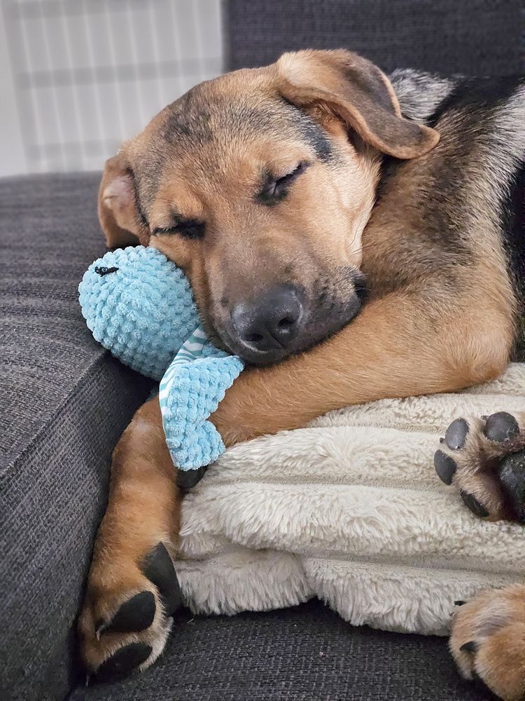 Photograph by Natalia Korobenko