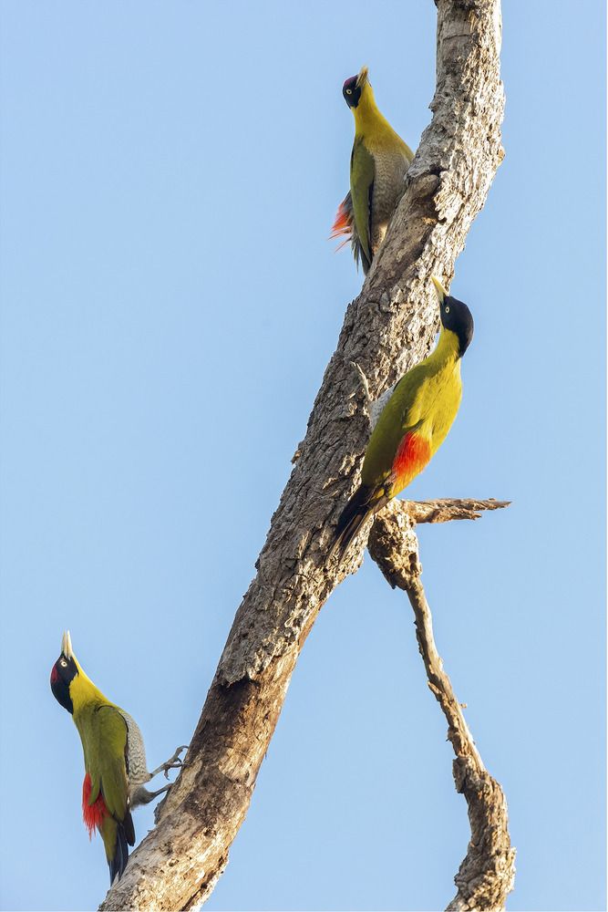 Photograph by Le Khac Quyen