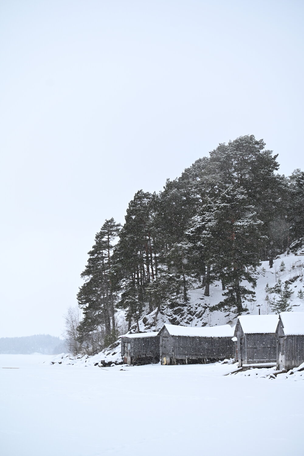 Photo #13341941