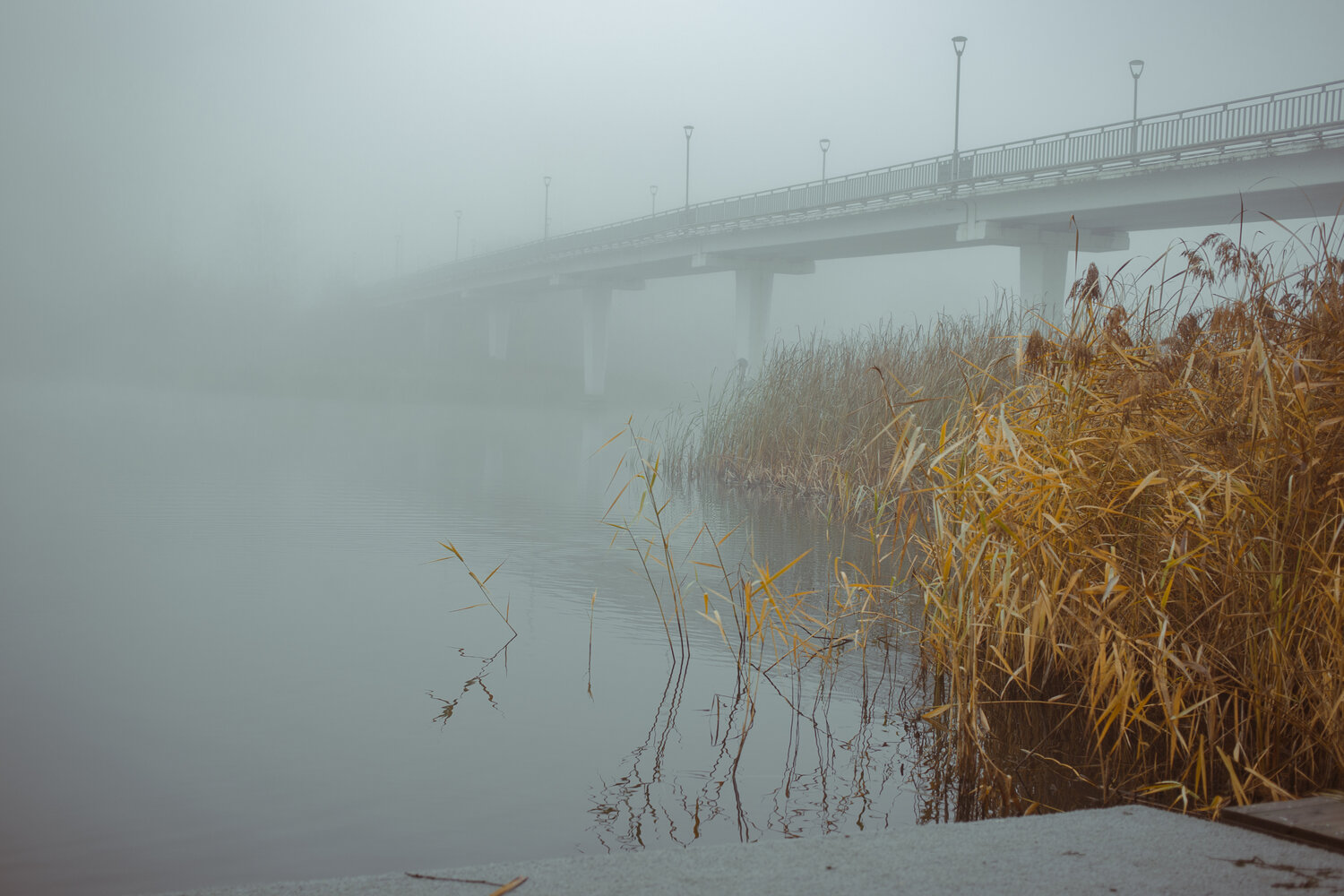 Photo #13341951