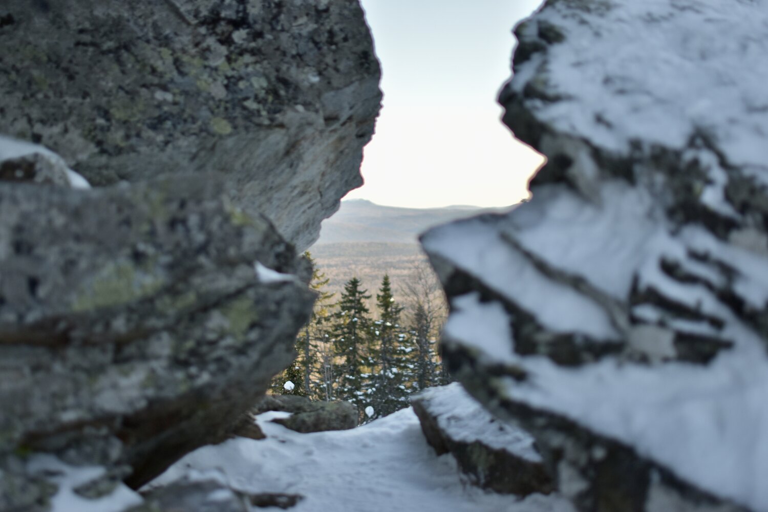 Photo #13342036