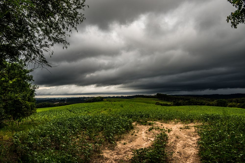 Photograph by Gilberto José Bassani