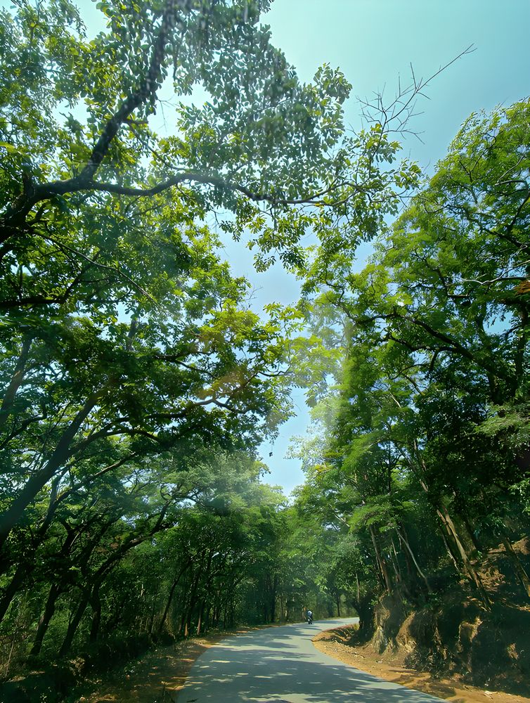 Photograph by Varshini Sriram